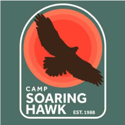 Hawk-in-Circles-Big
